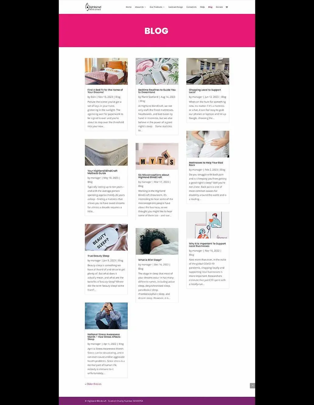 Screenshot of a blog page with articles on various topics displayed in a grid layout, each with an image and a brief description. The header and footer are pink, and "BLOG" is prominently displayed at the top. This setup is ideal for content creation and enhancing SEO visibility.